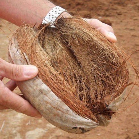 BBQ brikety ze skořápek kokosových ořechů Cococabana - pytel 3 kg